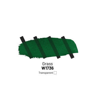 W1736 Grass