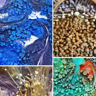 Alcohol Ink for Resin - Petri 9 'Green' - Alcohol Inks for Petri Art - KAMENSKAYA